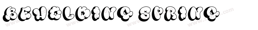 BEHOLDING SPRING字体转换